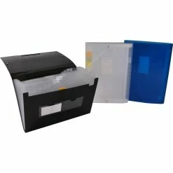 Buy 🎉 Filexec Expanding File 13 Pockets Assorted Colors 4 Pk. ⭐