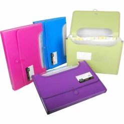 Budget 🧨 Filexec EZ View Expanding File 13 Pockets 🛒