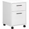 Best deal 🧨 Bush Furniture Key West 2 Drawer Mobile File Cabinet 💯