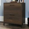 Best reviews of ???? Sauder 2 Drawer Lateral Filing Cabinet ????