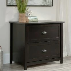 Best deal 🛒 Sauder County Line 2 Drawer Lateral File Cabinet ❤️